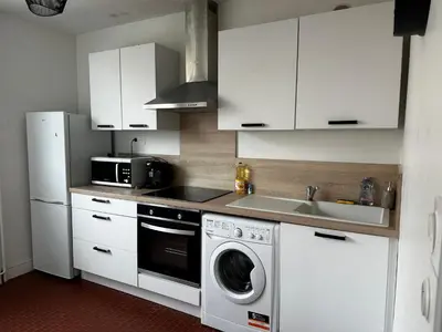 Cuisine ou kitchenette dans l'établissement Charmant appartement T1 Mâcon