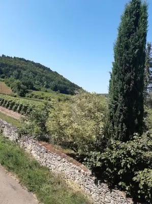 Paysage naturel près de la maison de vacances
