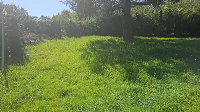 Paysage naturel près de l'appartement