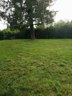 Jardin de l'établissement L'epicéa