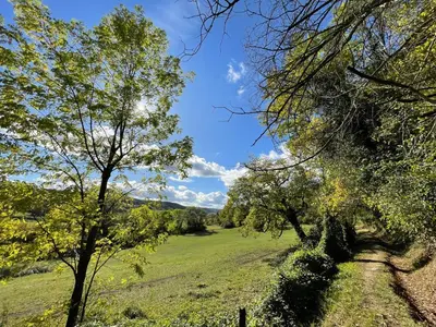 Paysage naturel près de l'appartement