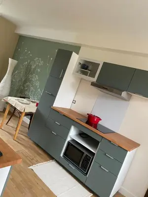 Cuisine ou kitchenette dans l'établissement Cense des Possibles - studio 