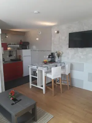 Cuisine ou kitchenette dans l'établissement T1 Clos-Edeen