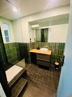 Salle de bains dans l'établissement Charmant 2 pièces, hyper centre Mâcon