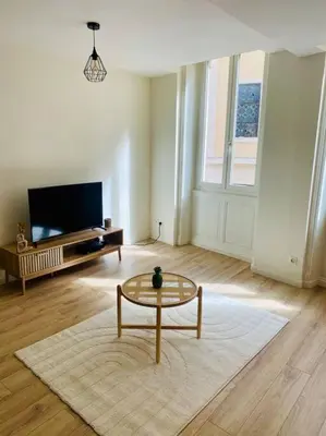Télévision ou salle de divertissement dans l'établissement Charmant 2 pièces, hyper centre Mâcon