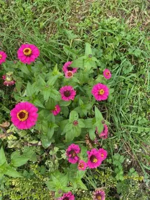 Jardin de l'établissement Au calme