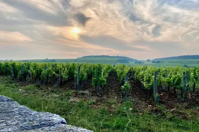 Paysage naturel près de l'appartement