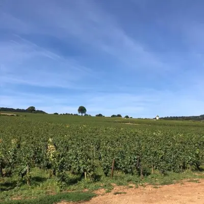 Paysage naturel près de l'appartement