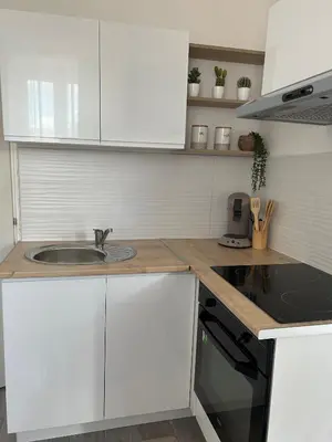 Cuisine ou kitchenette dans l'établissement L'Immeuble de l'Avenue