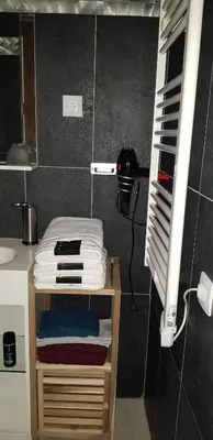 Cuisine ou kitchenette dans l'établissement DIJON Super appartement F1 bis climatisé mezzanine