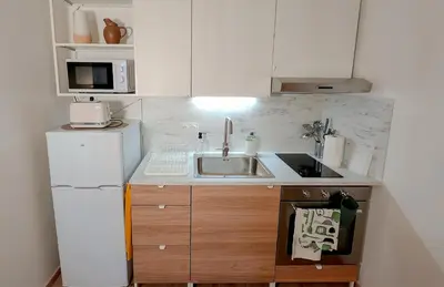 Cuisine ou kitchenette dans l'établissement Le Petit Polinois