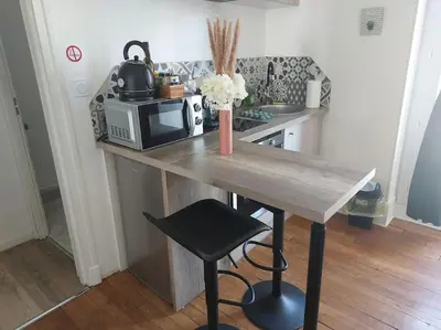 Cuisine ou kitchenette dans l'établissement Agréable studio - WiFi
