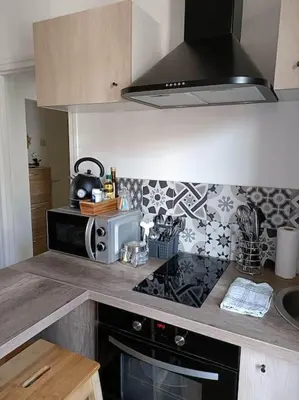 Cuisine ou kitchenette dans l'établissement Agréable studio - WiFi