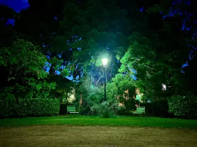 Jardin de l'établissement Le Ginkgo