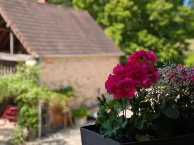 Jardin de l'établissement Chez Max et Juliette - Charmante maison familiale en bordure de forêt