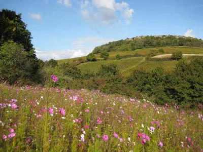 Paysage naturel près de la maison de vacances