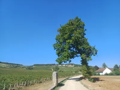 Paysage naturel près de la maison de vacances
