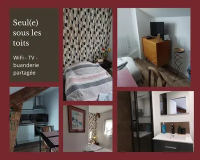 Plan de l'établissement Seul sous les toits de Dijon