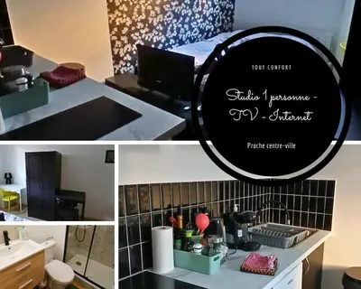 Cuisine ou kitchenette dans l'établissement Beau studio - 1 personne