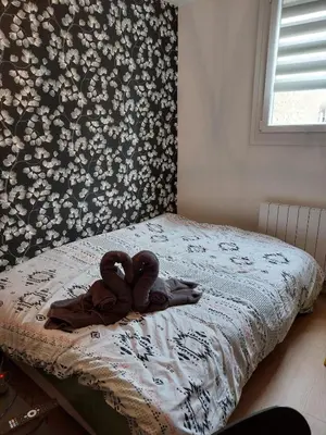 Un ou plusieurs lits dans un hébergement de l'établissement Beau studio - 1 personne