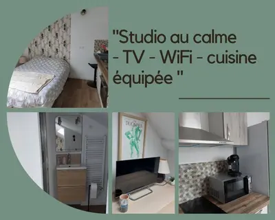 Cuisine ou kitchenette dans l'établissement Sous les toits - Wi-Fi - TV