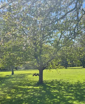 Jardin de l'établissement Gîte de l 'Angeline