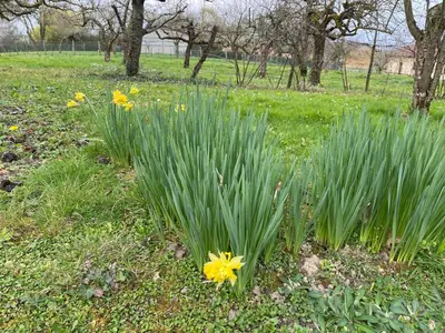 Jardin de l'établissement Ferme de St-Jean