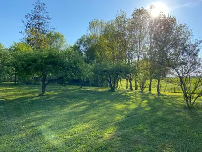 Jardin de l'établissement Ferme de St-Jean