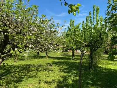 Jardin de l'établissement Ferme de St-Jean