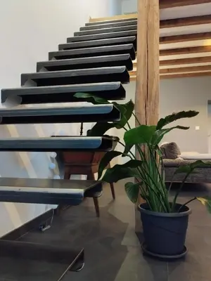 Plan de l'établissement Maison Indépendante