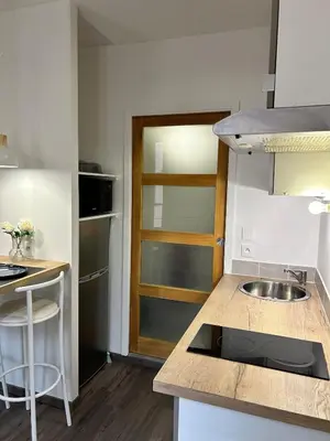 Cuisine ou kitchenette dans l'établissement Charmant appartement au Centre-ville de Dijon