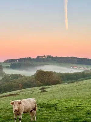 Paysage naturel près de la maison de vacances