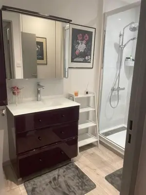 Salle de bains dans l'établissement Le cosy Tournusien
