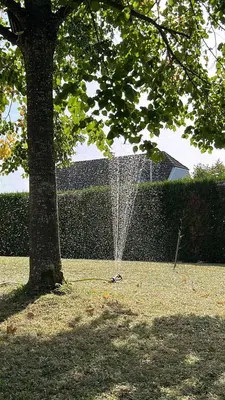Jardin de l'établissement Villa des étoiles
