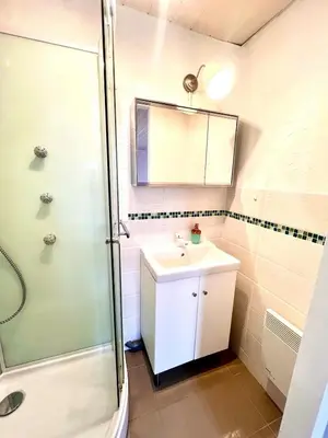 Salle de bains dans l'établissement Appartement en plein centre-ville Gare Darcy