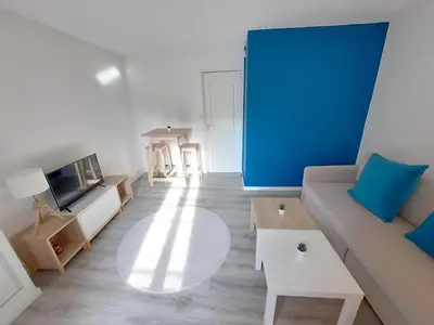Télévision ou salle de divertissement dans l'établissement Le Perdrix 2 - Studio 2 prs, proche centre ville