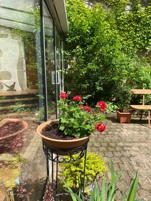 Jardin de l'établissement La Belle Epoque