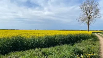 Paysage naturel près de la maison de vacances