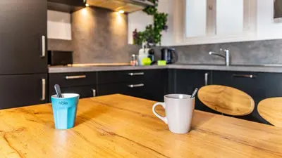 Cuisine ou kitchenette dans l'établissement Les Toits de Darcy - Dijon Centre historique