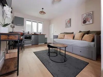 Télévision ou salle de divertissement dans l'établissement Le pédestre - Appartement cosy hyper centre-ville de DIJON