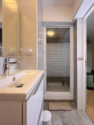 Salle de bains dans l'établissement Le pédestre - Appartement cosy hyper centre-ville de DIJON
