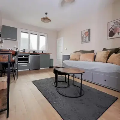 Le pédestre - Appartement cosy hyper centre-ville de DIJON
