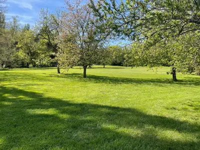 Jardin de l'établissement Chambre d'hôtes de l'Angeline