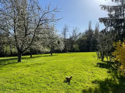 Jardin de l'établissement Chambre d'hôtes de l'Angeline
