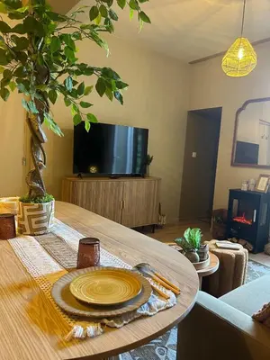 Télévision ou salle de divertissement dans l'établissement LE COTTAGE, T2, Hyper center, Terrasse