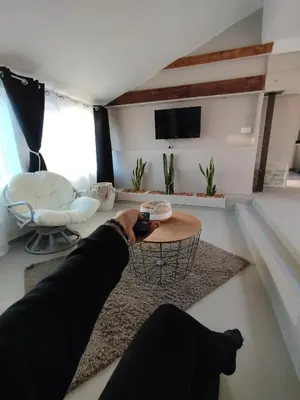 Télévision ou salle de divertissement dans l'établissement Gîte Les Galins
