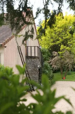 Jardin de l'établissement Gîte Le Nid aux Papillons