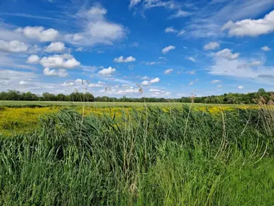 Paysage naturel près de l'appartement