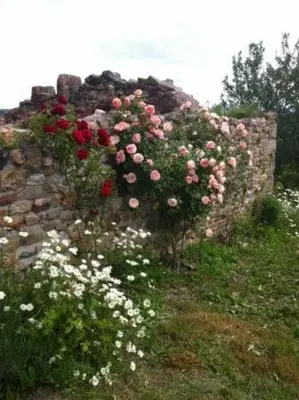 Jardin de l'établissement Charmante ferme vue exceptionnelle 10 voyageurs