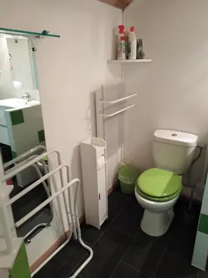 Salle de bains dans l'établissement Maison patio et piscine